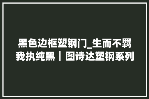 黑色边框塑钢门_生而不羁我执纯黑┃图诗达塑钢系列