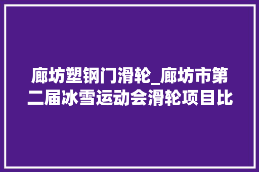 廊坊塑钢门滑轮_廊坊市第二届冰雪运动会滑轮项目比赛落幕