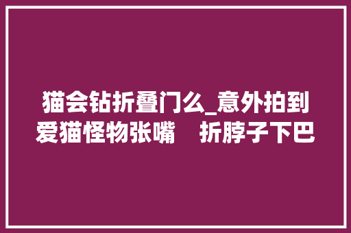 猫会钻折叠门么_意外拍到爱猫怪物张嘴　折脖子下巴朝天妈怕爆怎么办到的