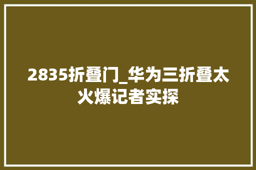 2835折叠门_华为三折叠太火爆记者实探