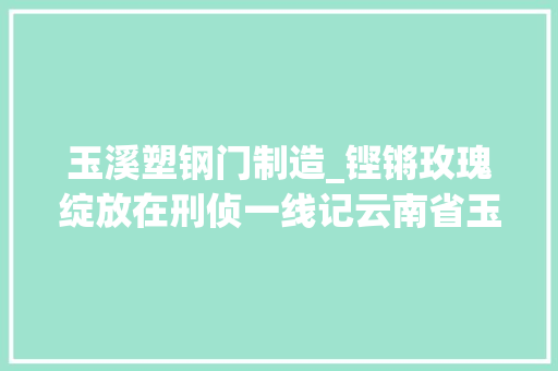 玉溪塑钢门制造_铿锵玫瑰绽放在刑侦一线记云南省玉溪市新平县公安局刑侦大年夜队教导员饶惠莹