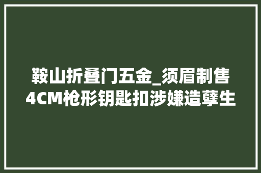 鞍山折叠门五金_须眉制售4CM枪形钥匙扣涉嫌造孽生意枪支罪一审开庭枪支剖断标准再惹争议