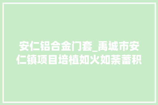 安仁铝合金门套_禹城市安仁镇项目培植如火如荼蓄积高质量成长新动能