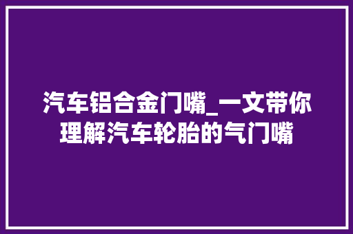 汽车铝合金门嘴_一文带你理解汽车轮胎的气门嘴