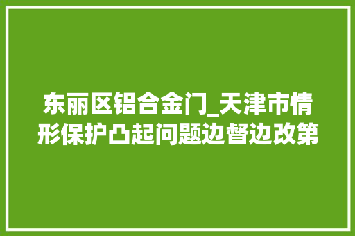 东丽区铝合金门_天津市情形保护凸起问题边督边改第九批公开信息