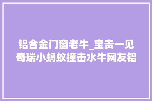 铝合金门窗老牛_宝贵一见奇瑞小蚂蚁撞击水牛网友铝合金架构果真名不虚传