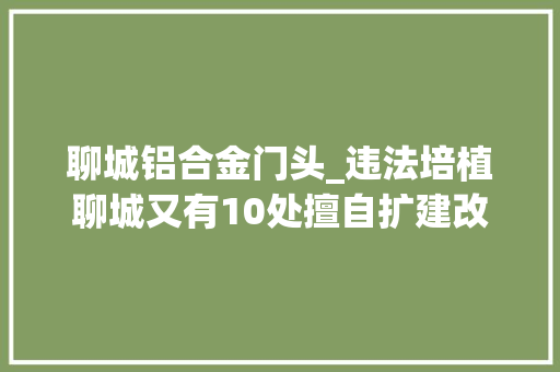 聊城铝合金门头_违法培植聊城又有10处擅自扩建改建门头房被依法拆除