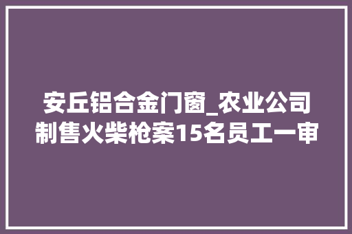 安丘铝合金门窗_农业公司制售火柴枪案15名员工一审获刑二审被发还重审