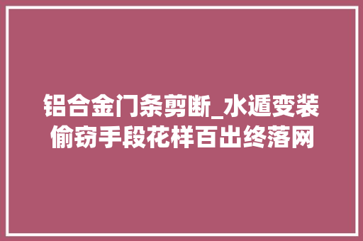 铝合金门条剪断_水遁变装偷窃手段花样百出终落网