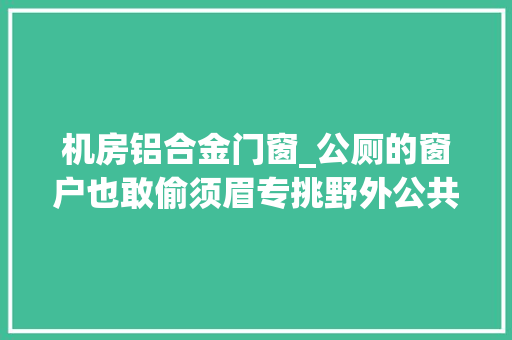 机房铝合金门窗_公厕的窗户也敢偷须眉专挑野外公共举动办法偷窃