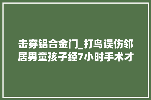 击穿铝合金门_打鸟误伤邻居男童孩子经7小时手术才分开生命危险须眉被判两年