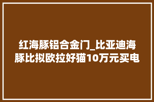 红海豚铝合金门_比亚迪海豚比拟欧拉好猫10万元买电动车就看谁的亮点多
