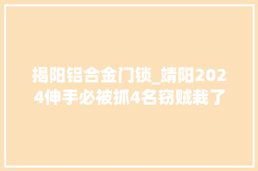 揭阳铝合金门锁_靖阳2024伸手必被抓4名窃贼栽了
