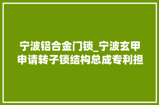 宁波铝合金门锁_宁波玄甲申请转子锁结构总成专利担保锁销准确实现锁紧功能