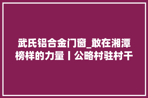 武氏铝合金门窗_敢在湘潭榜样的力量丨公略村驻村干部武文渡的振兴攻略
