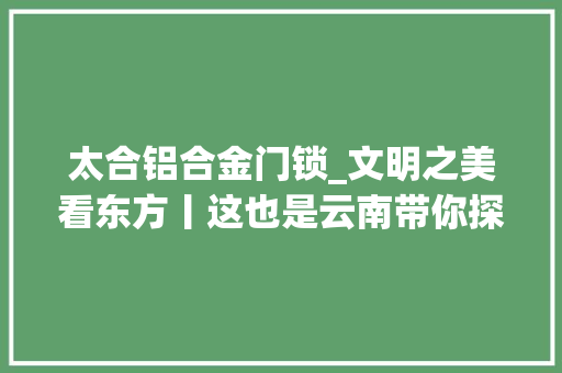 太合铝合金门锁_文明之美看东方丨这也是云南带你探寻古滇不为人知的一面