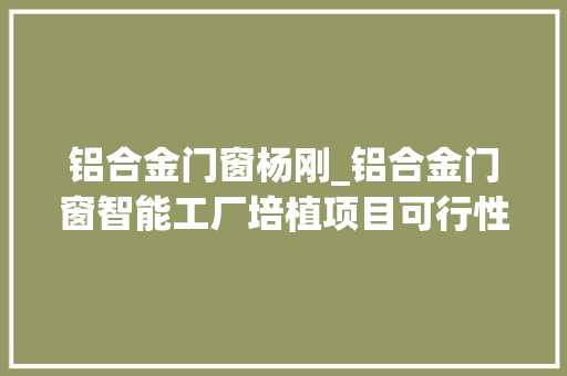 铝合金门窗杨刚_铝合金门窗智能工厂培植项目可行性研究申报
