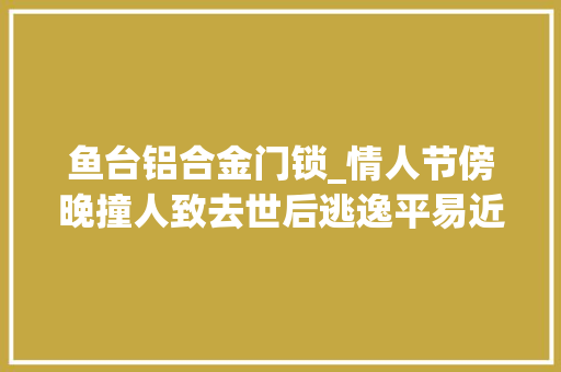 鱼台铝合金门锁_情人节傍晚撞人致去世后逃逸平易近警一枚纽扣锁真凶司机迫于压力自首