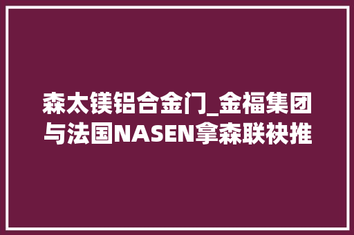 森太镁铝合金门_金福集团与法国NASEN拿森联袂推进出户门专利产品闪耀建博会