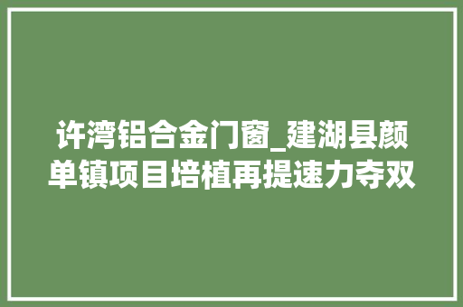 许湾铝合金门窗_建湖县颜单镇项目培植再提速力夺双过半