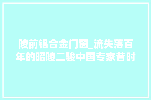 陵前铝合金门窗_流失落百年的昭陵二骏中国专家昔时若何修复