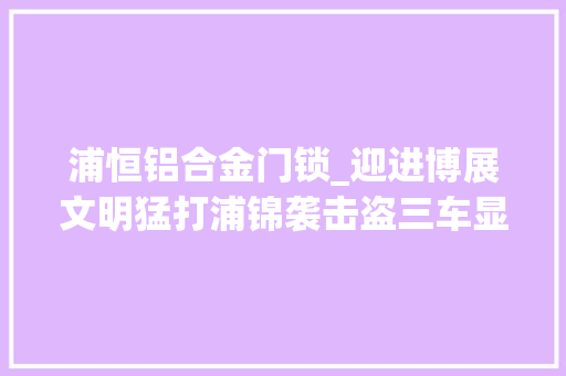 浦恒铝合金门锁_迎进博展文明猛打浦锦袭击盗三车显成效