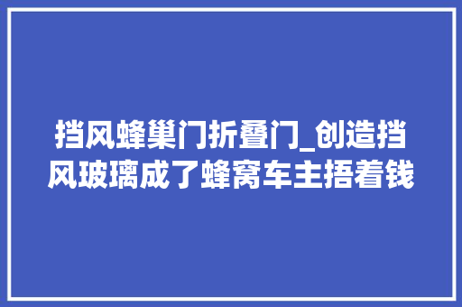 挡风蜂巢门折叠门_创造挡风玻璃成了蜂窝车主捂着钱包不带这样玩的