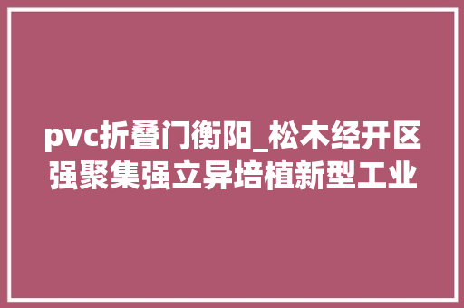 pvc折叠门衡阳_松木经开区强聚集强立异培植新型工业园区