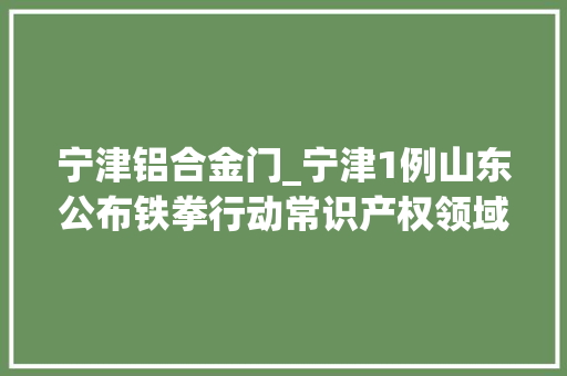 宁津铝合金门_宁津1例山东公布铁拳行动常识产权领域行政处罚范例案例