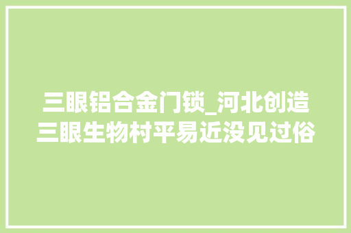 三眼铝合金门锁_河北创造三眼生物村平易近没见过俗称数钱锁它有什么用