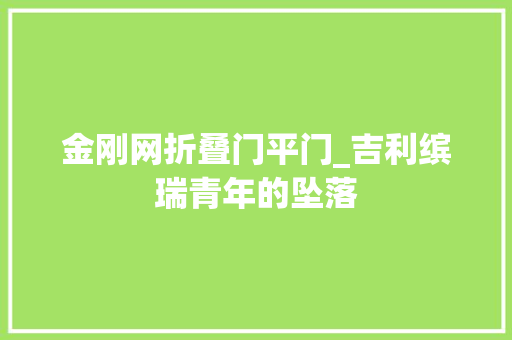 金刚网折叠门平门_吉利缤瑞青年的坠落