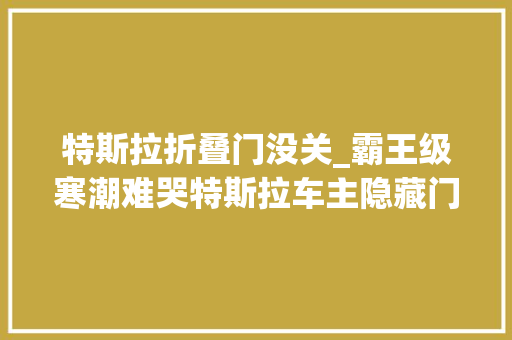 特斯拉折叠门没关_霸王级寒潮难哭特斯拉车主隐藏门把手被冻住折叠后视镜无法展开