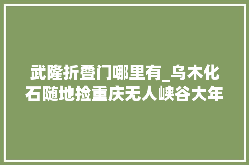 武隆折叠门哪里有_乌木化石随地捡重庆无人峡谷大年夜冒险完整版女汉纸武隆秘境探险记第十四节