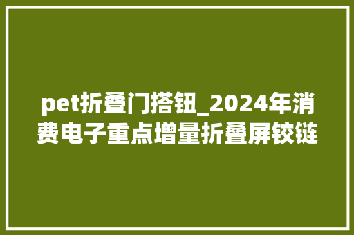pet折叠门搭钮_2024年消费电子重点增量折叠屏铰链