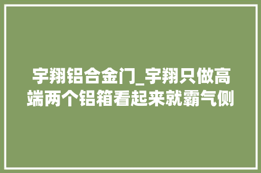 宇翔铝合金门_宇翔只做高端两个铝箱看起来就霸气侧漏