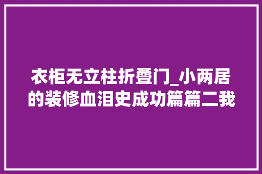 衣柜无立柱折叠门_小两居的装修血泪史成功篇篇二我家衣柜不用板