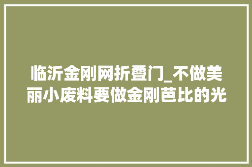 临沂金刚网折叠门_不做美丽小废料要做金刚芭比的光彩折叠屏Vflip