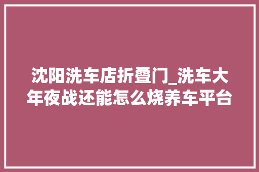 沈阳洗车店折叠门_洗车大年夜战还能怎么烧养车平台悦宝车酷直接做了全年免费洗车