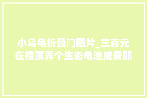 小乌龟折叠门图片_三百元在楼顶弄个生态龟池成景那一刻美呆了