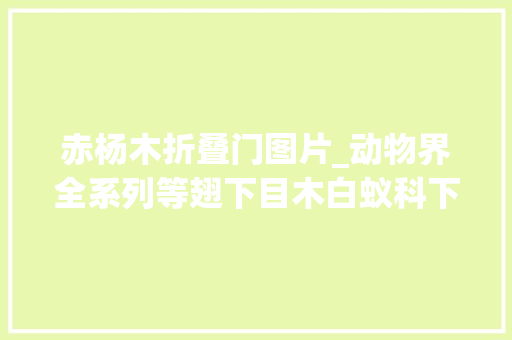 赤杨木折叠门图片_动物界全系列等翅下目木白蚁科下堆砂白蚁