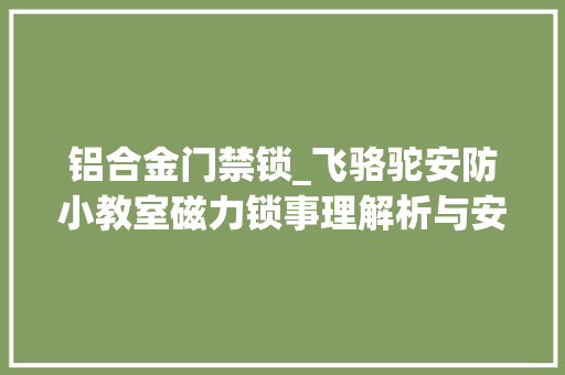 铝合金门禁锁_飞骆驼安防小教室磁力锁事理解析与安装教程
