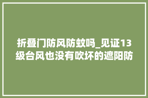 折叠门防风防蚊吗_见证13级台风也没有吹坏的遮阳防风帘防蚊又透景