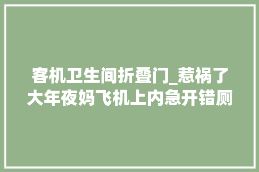 客机卫生间折叠门_惹祸了大年夜妈飞机上内急开错厕所门导致航班耽误或掏天价赔偿