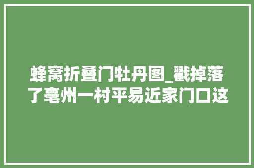 蜂窝折叠门牡丹图_戳掉落了亳州一村平易近家门口这个马蜂窝直径一尺多
