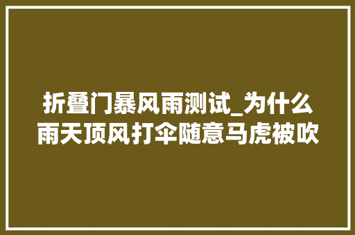 折叠门暴风雨测试_为什么雨天顶风打伞随意马虎被吹翻没点硬实力真弗成来了专为暴风雨打造的进级版风暴伞