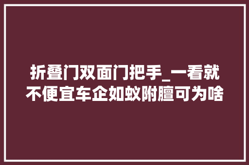 折叠门双面门把手_一看就不便宜车企如蚁附膻可为啥隐藏式门把手却不受待见呢