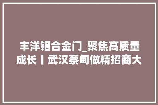 丰洋铝合金门_聚焦高质量成长丨武汉蔡甸做精招商大年夜文章知音桑梓觅知音