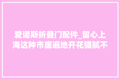 爱诺斯折叠门配件_留心上海这种市廛遍地开花猫腻不少