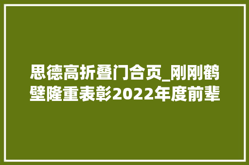 思德高折叠门合页_刚刚鹤壁隆重表彰2022年度前辈集体前辈小我