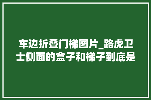 车边折叠门梯图片_路虎卫士侧面的盒子和梯子到底是干什么用的